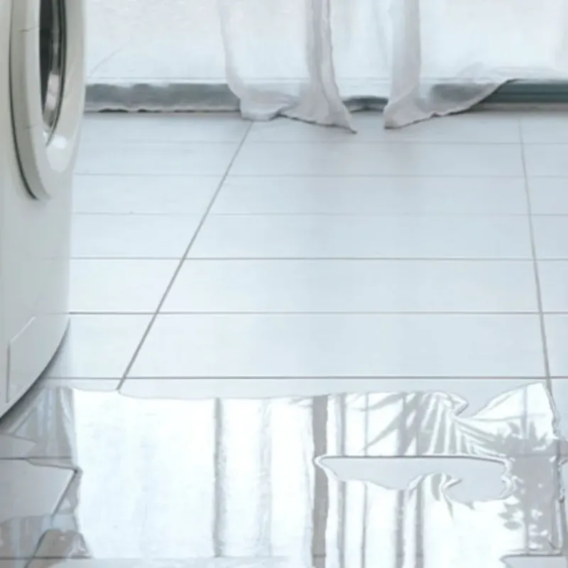 Appliance Leak Cleanup in Clay County, AL