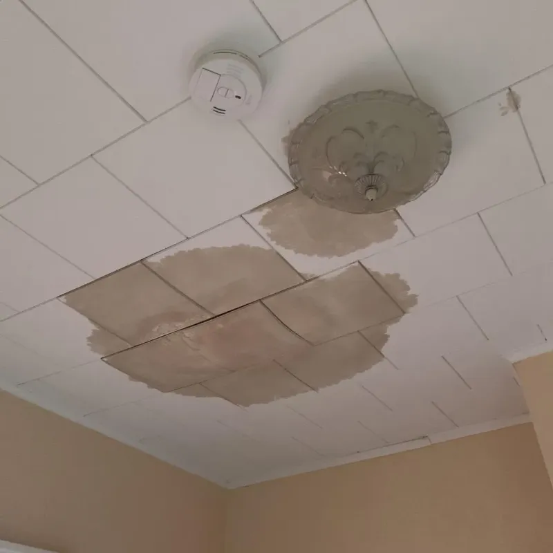 Ceiling Water Damage Repair in Clay County, AL