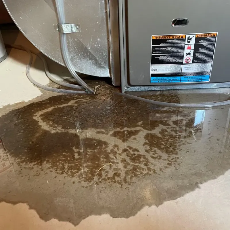 Pipe Burst and Leak Restoration in Clay County, AL