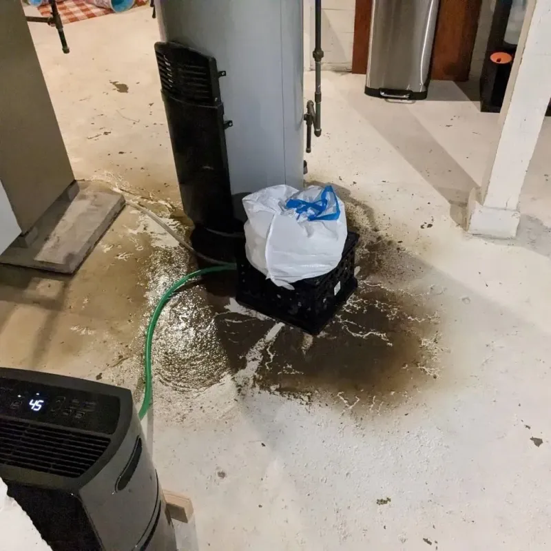 Sewage Backup Cleanup Service in Clay County, AL